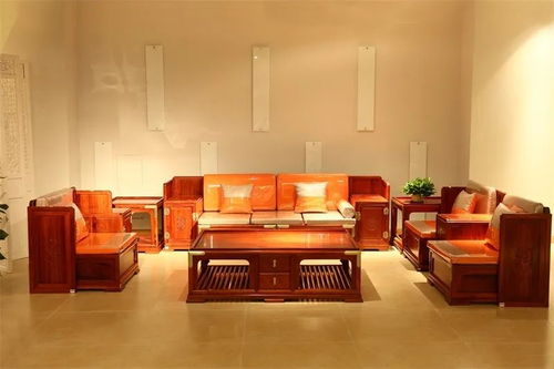 疫情期間家居最全消毒養(yǎng)護(hù)指南 守護(hù)健康，從細(xì)節(jié)做起